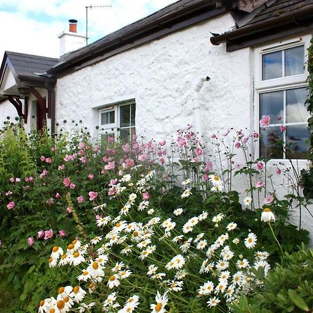 Tornaroan Cottage バリーキャッスル エクステリア 写真