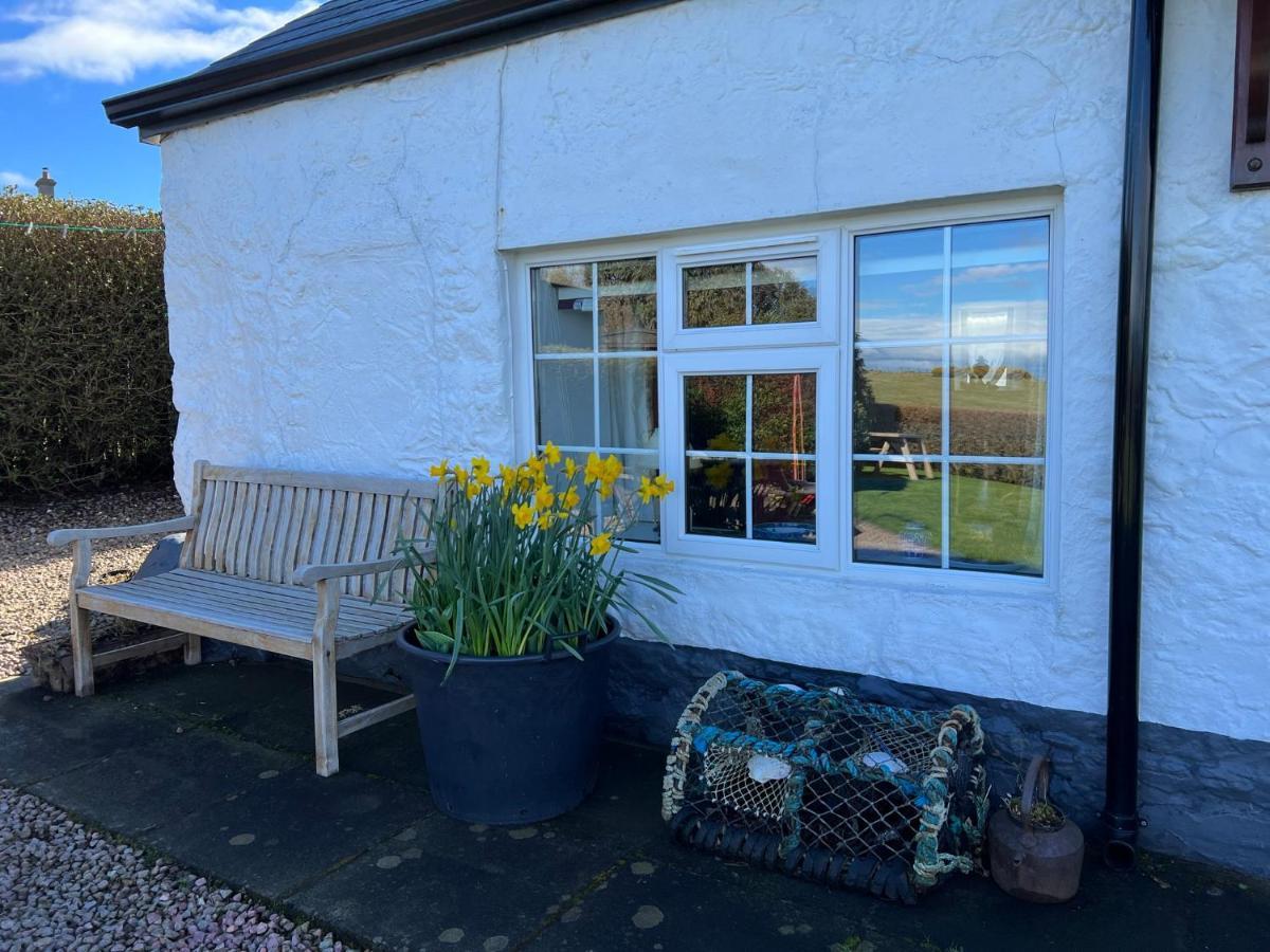 Tornaroan Cottage バリーキャッスル エクステリア 写真